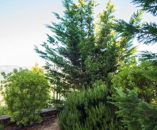 빌라 Eleftheria, - Spacious Luxury With Pool And Stunning Views *