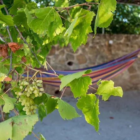 Eleftheria, - Spacious Luxury With Pool And Stunning Views Villa *