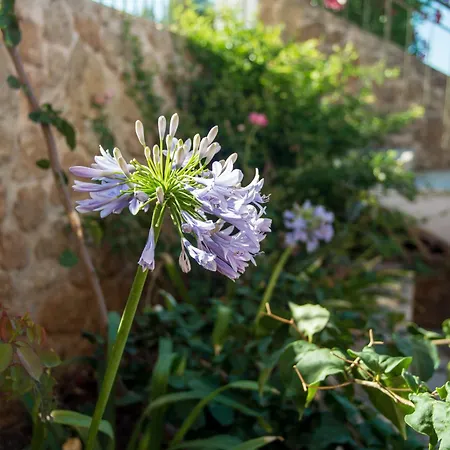 Eleftheria, - Spacious Luxury With Pool And Stunning Views Villa